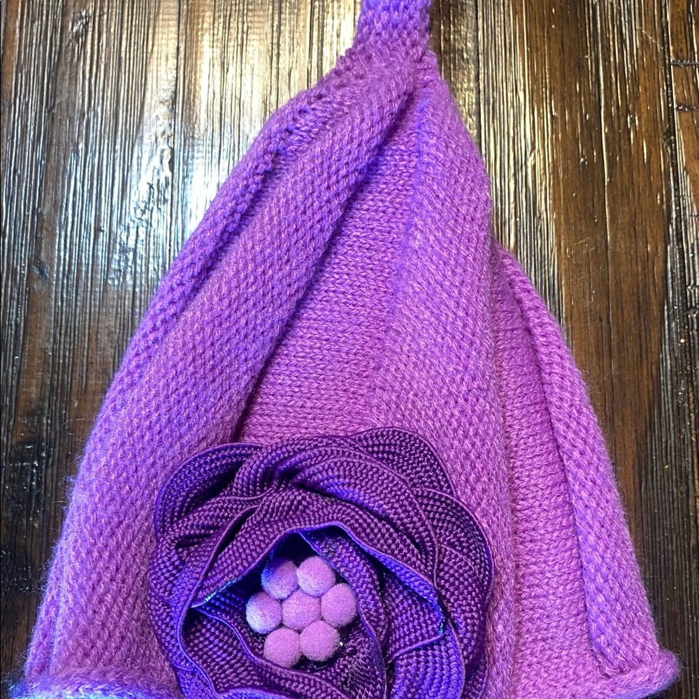 NWOT beanie - Picture 3 of 5
